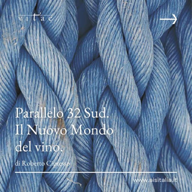 🍷 Vini del Nuovo Mondo: un viaggio tra Cile, Argentina e Australia 🍷

Insieme a Roberto Cipresso, su #vitae 43, esploriamo insieme il 32° Parallelo Sud, dove il vino si esprime in modi sorprendenti, tra Cile, Argentina e Australia! 🍇

Cile: il carménère, un'uva dalle origini antiche, qui diventa protagonista, celebrata per la sua unicità. Un vino che sa di storia e di passione. 

Argentina: il malbec, un vitigno versatile e generoso, regala vini intensi e corposi, perfetti per le grandi occasioni. 

Australia: il syrah, in una versione più moderna e fruttata, ideale per chi ama i vini morbidi e avvolgenti. 

Tre paesi, tre vitigni, tre storie uniche, unite dalla passione per il vino. ✨

E voi, quale di questi vini vi incuriosisce di più? Ditecelo nei commenti! 👇

#vino #vinonelmondo #viaggio #scoperta #paralleli #cile #argentina #australia #malbec #syrah #carmenere #winelover #winetasting #instawine #winegram #winetravel #nuovomondo"