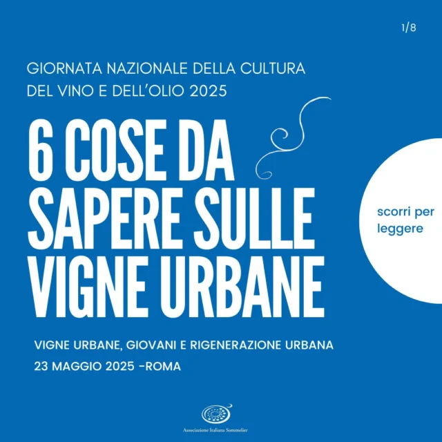 Le vigne urbane non sono solo storia, ma futuro! 🏙️🌱 

Proprio per questo, #aisitalia dedica la sua 15ª Giornata Nazionale della Cultura del Vino e dell’Olio al tema: "Vigne urbane, giovani e rigenerazione urbana".

Ne parleremo il 23 maggio 2025 a Roma, presso la Sala Aldo Moro del @ministeroistruzione, in un importante convegno realizzato in collaborazione anche con il @mic_italia  e il @masafsocial

#GNCVO2025 #VigneUrbane #AISItalia #CulturaDelVinoEDellOlio