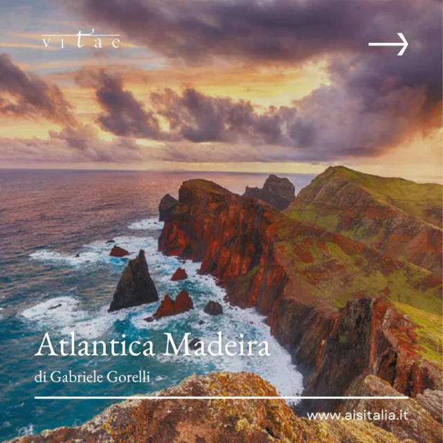 Atterrare qui è un'esperienza adrenalinica, tra pareti di roccia e una pista a strapiombo sull'Atlantico. Un'isola selvaggia, scoperta nel 1418 e così fitta di vegetazione che, narra la leggenda, fu necessario incendiarla per 7 anni per poterla esplorare.

Da questa terra estrema, vulcanica e battuta dal vento, nasce un vino altrettanto unico: il Madeira.

Un vino nato quasi per errore, durante i lunghi viaggi in nave. Il caldo delle stive non lo rovinò, anzi, lo trasformò in un nettare complesso e quasi eterno. Oggi, quel processo viene ricreato con metodi unici come l'estufagem e il canteiro, che "cuociono" il vino per renderlo immortale.

Un sorso di Madeira non è solo un assaggio, è un viaggio nella storia della navigazione, tra uve eroiche come sercial, verdelho, bual e malvasia, coltivate su terrazze strappate alla montagna.

Un patrimonio liquido custodito da cantine storiche, capace di sfidare i secoli.

👉 Avete mai assaggiato un vino di Madeira? Raccontateci la vostra esperienza! E nel frattempo leggete su #vitae quella del nostro Gabriele Gorelli!

#Madeira #VinoMadeira #Portugal #GabrieleGorelliMW #WineLover #IsolaDiMadeira #ViniFortificati #VinhoDaRoda #WineStory #Viaggio